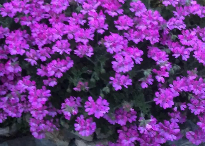 Villaggio Colombo * Marina dʼAndora